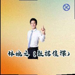 林婉之 (数据侦探)